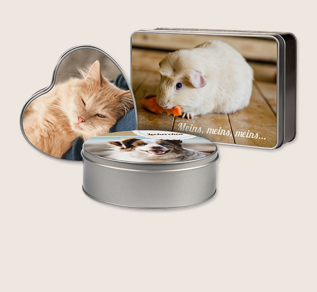 Einzigartiges Fotogeschenk, Hund und Katze freuen sich immer ueber Leckerlis, hier online bestellen. Gestalten Sie Ihre eigene Leckerlidose fuer Ihr Tier.