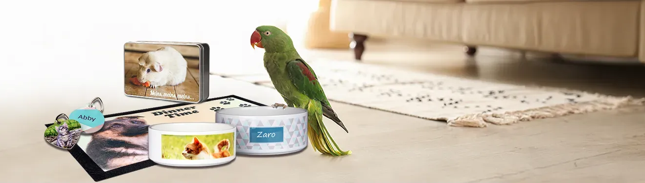 Eine Auswahl personalisierter Geschenke für eure Haustiere – Jetzt mit tierischen Fotos gestalten!