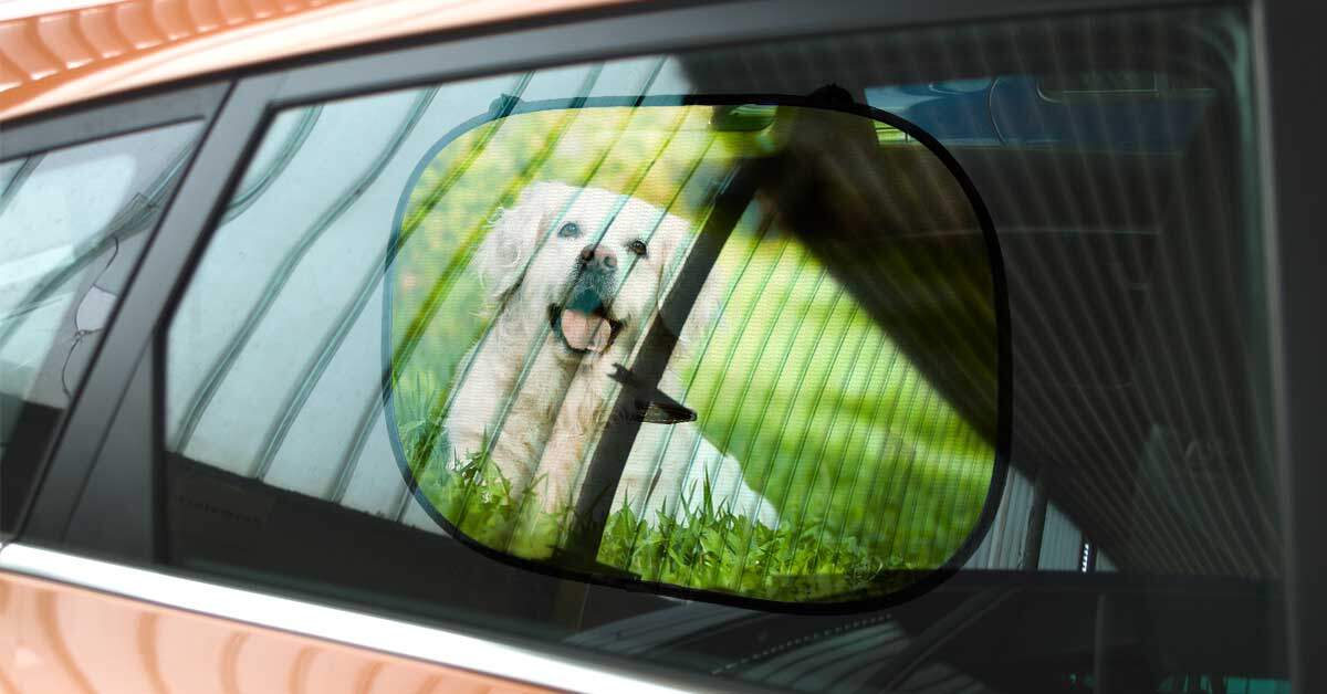 Exquisite Auto-Fenster-Jalousie Auto-Fenster-Sonnenschutz Privatsphäre  schützen für Kleinkind Kinder Baby Erwachsene Einfach zu installieren mit  Saugnapf