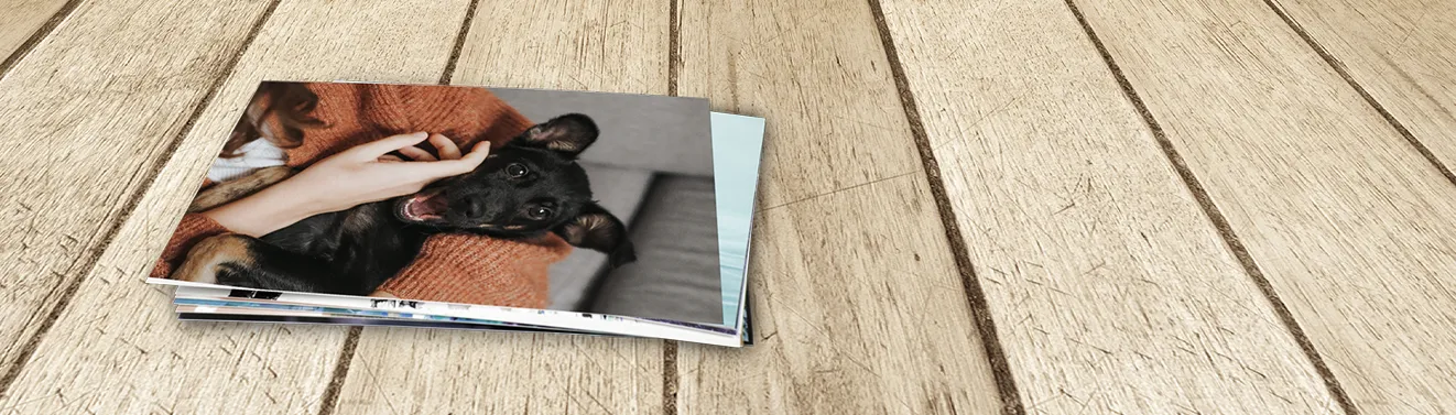 Hochwertige Fotos entwickeln lassen Eine Auswahl hochwertiger Fotoabzüge. Lasst eure schönsten Erinnerungen als Fotos in eurer Wunschgröße entwickeln.