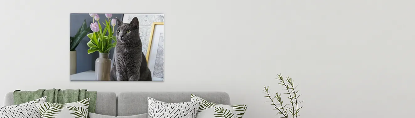 Eine große, an der Wand hängende Leinwand mit einem persönlichen Lieblingsmotiv. Jetzt in der ROSSMANN Fotowelt gestalten!