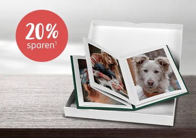 Jeden Monat neue Angebote: Entdeckt jetzt unser vielseitiges und hochwertiges Produkt des Monats.