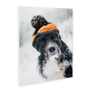 Leichtes Forex-Foto für eine stilvolle Wanddeko