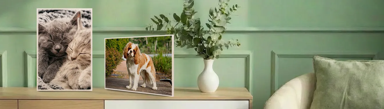 Foto auf Holz mit Tiermotiv gestalten – persönliche Haustierfotos als Wanddeko Fotos von Haustieren auf Holz mit sichtbarer Holzmaserung als natürliche Wanddekoration