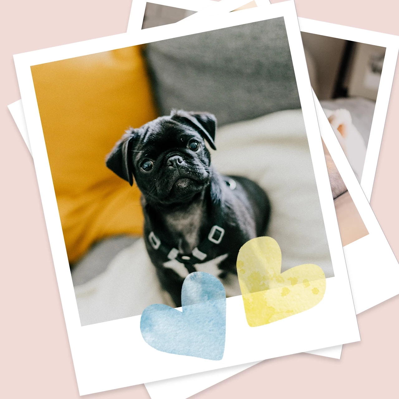 Herz Sticker machen jedes Foto und jedes Fotobuch zu einem besonderen Geschenk. Mit dieser extra Portion Liebe werdet ihr jeden Beschenkten verzaubern.