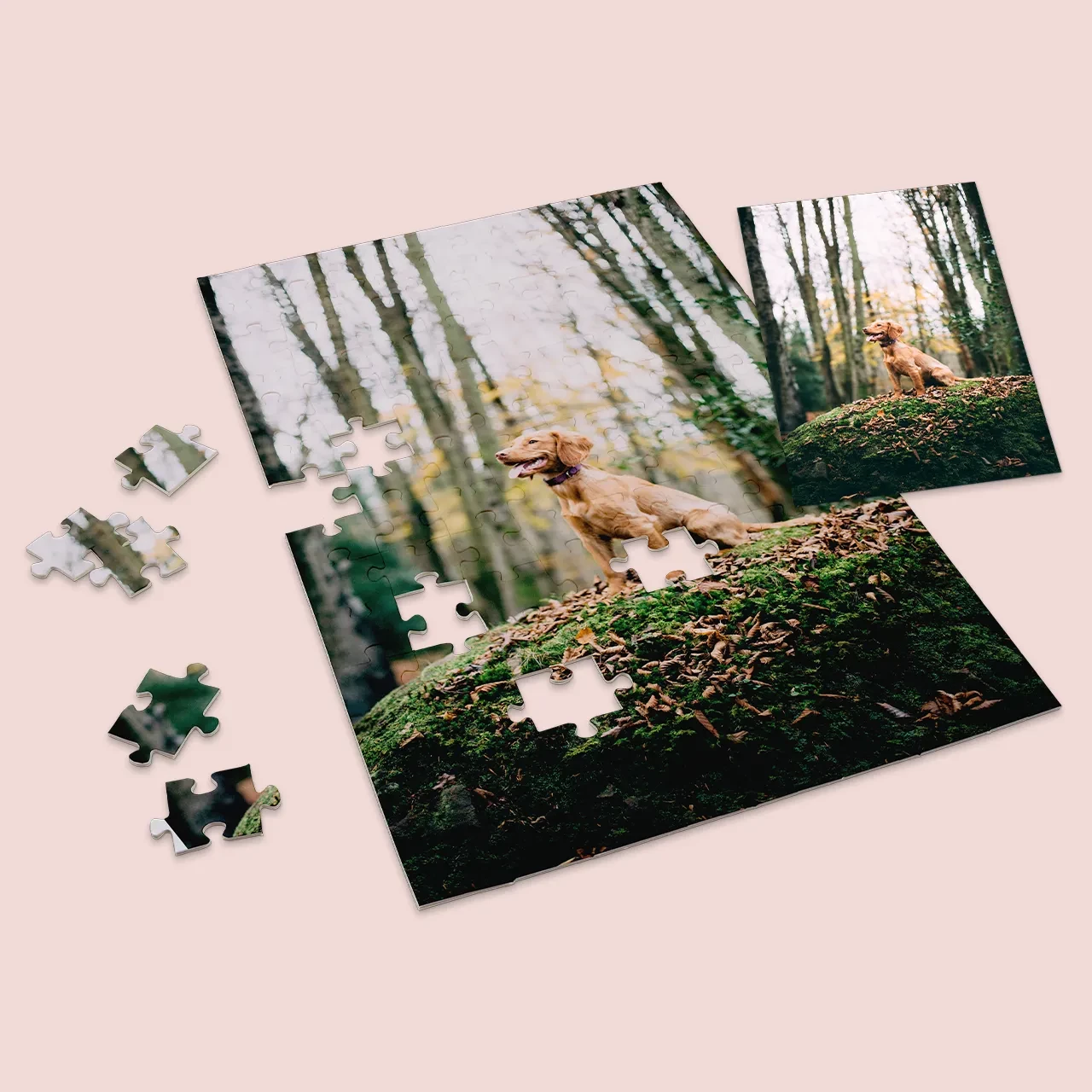 Personalisiertes Puzzle-Foto von euren Vierbeinern und anderen besonderen Motiven. Das Originalfoto ist als Vorlage im Lieferumfang enthalten. Handarbeit.