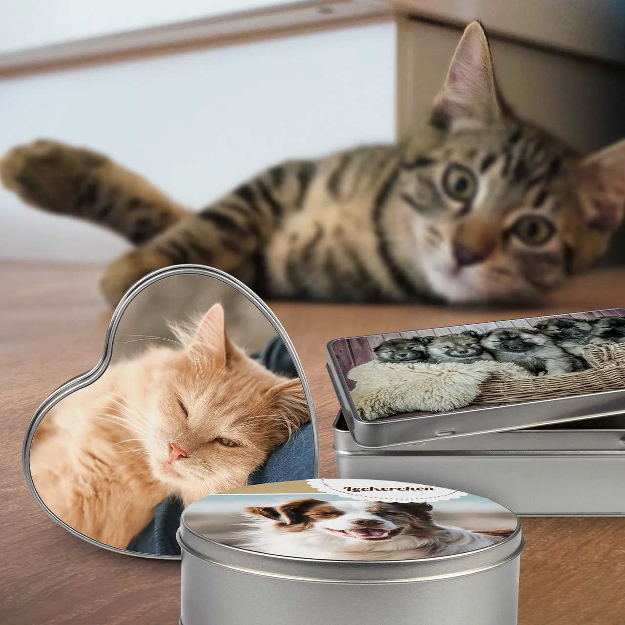 Schöne Geschenke für Katzenbesitzer findet ihr in der ROSSMANN Fotowelt. Gestaltet eine einzigartige Leckerli-Dose mit Design oder Foto für eure Vierbeiner.