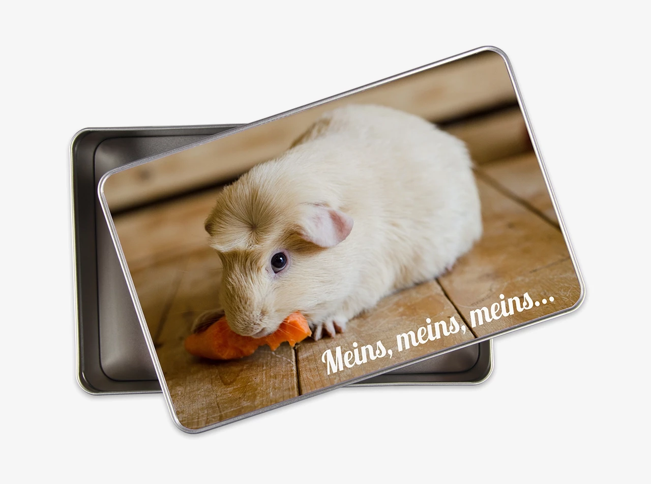 Eine Leckerlidose für euren Hund sieht besonders gut aus, ist sie vorher von euch personalisiert worden. Jetzt kreativ werden und eine Snackbox für Vierbeiner entwerfen.