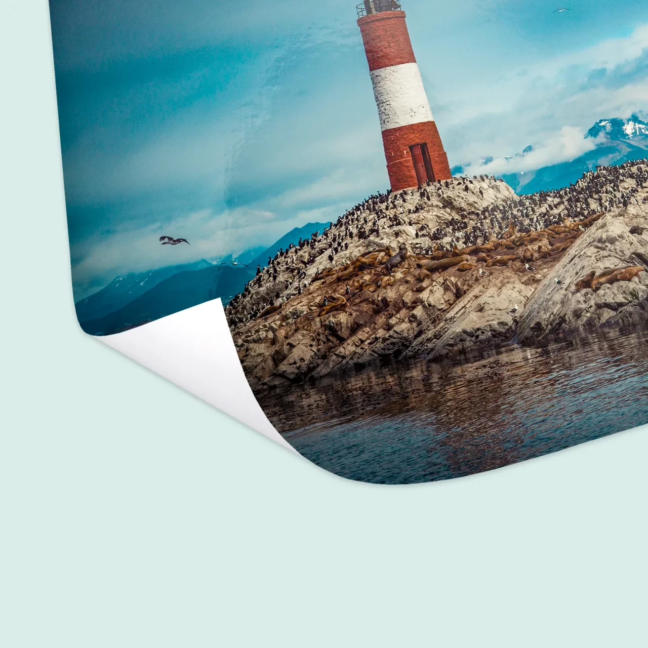 Eure schönsten Bilder als Poster drucken mit Landschaftaufnahmen aus dem letzten Urlaub oder Familienfotos. HD-Druckqualität erhältlich im Hoch- oder Querformat.