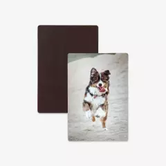 Magnetsticker mit Foto, glänzend oder matt, lebendige Farben Hier könnt ihr coole Magnetsticker mit bis zu 16 verschiedenen Bildern selbst gestalten. Wählt zwischen mattem oder glänzendem Echtfotopapier, abgerundete Ecken.