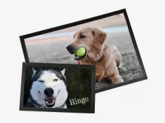 Ihr könnt die Napfunterlage für euren Hund in verschiedenen Größen bestellen. Wählt je nach dem, wie groß und tollpatschig euer Hund beim Fressen operiert.