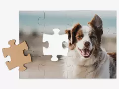 Fotopuzzle mit euren Lieblingsmotiven Gestaltet ein Puzzle mit Foto mit euren Lieblingsmotiven. Perfekt für personalisierten Puzzlespaß mit hochwertigen Kartonteilen und leuchtenden Farben.