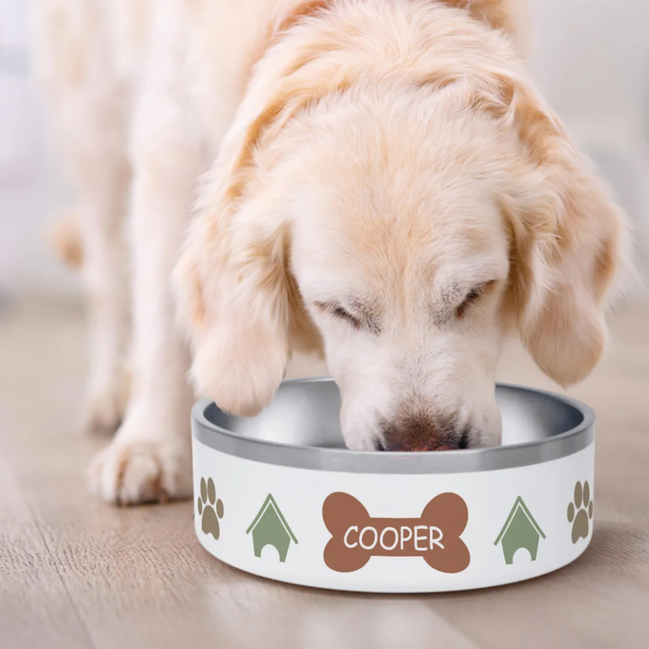 Hund frisst aus einem personalisierten Hundenapf mit Namen Cooper