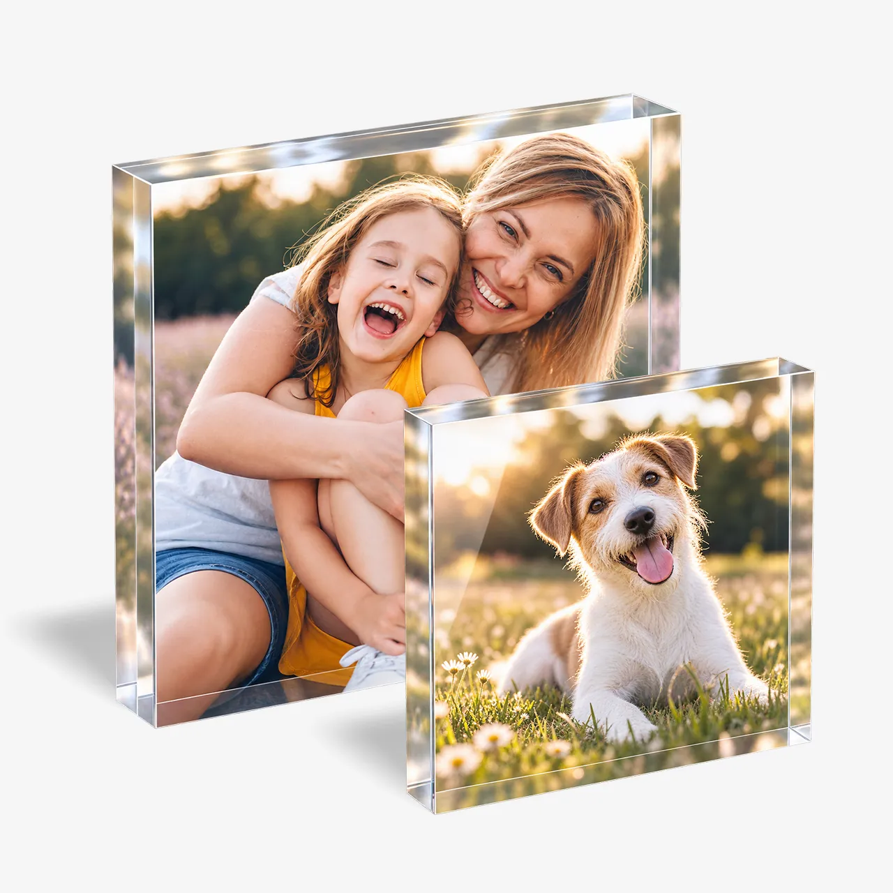 Zwei Foto-Acrylblöcke mit Familienfoto und Hundemotiv