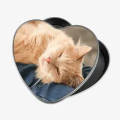 Herzförmige Leckerlidose mit Katzenfoto und runde Leckerlidose mit Hundefoto