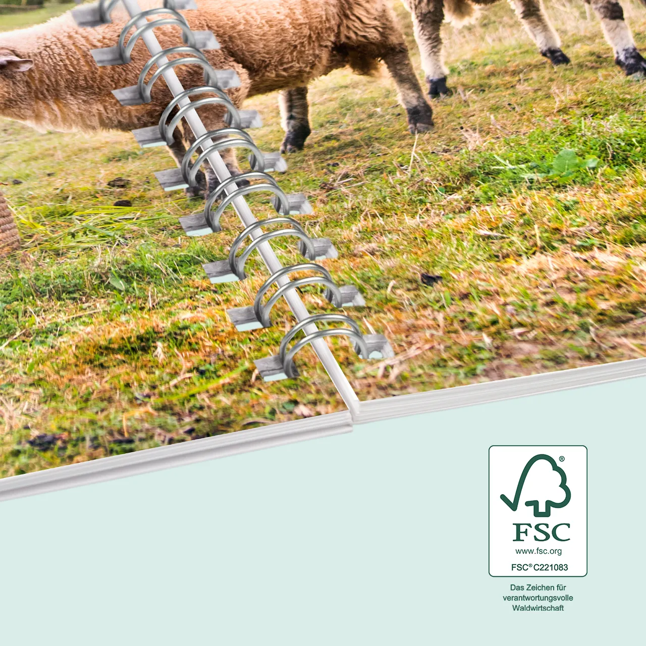 Ringbuch Fotoalbum für Kinder erstellen, ideal zum Blättern