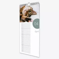Foto Terminkalender mit beschreibbarem Digitaldruckpapier. Gestaltet 12 einzigartige Monatsblätter und ein schickes Deckblatt in der ROSSMANN Fotowelt.