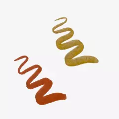 Kalligrafische Beispiele mit metallischen Brushpens in geschwungenen Linien in Gold und Roségold.