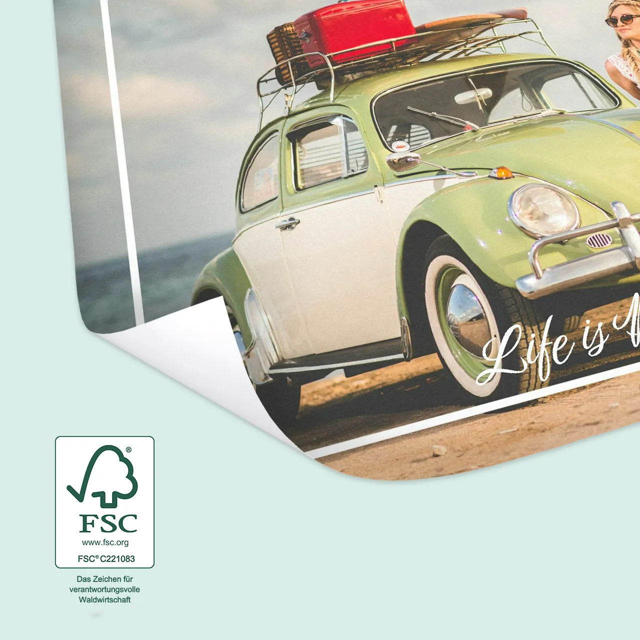 Foto Collage erstellen und schicke Designposter gestalten